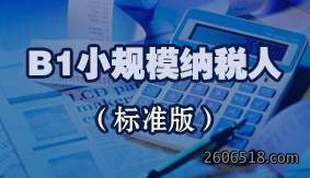 B1小规模纳税人(标准版)