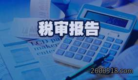 税审报告