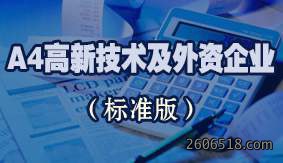 A4高新技术及外资企业(标准版)