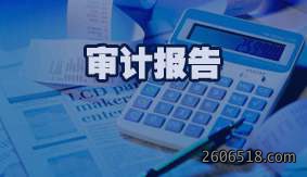 审计报告