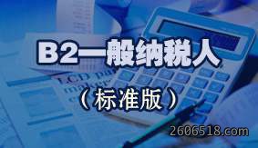 B2一般纳税人（标准版）
